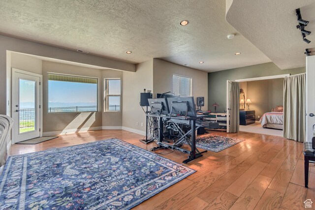 2116 E Falcon Ridge Dr, Draper Ut Cnty, UT 84020 - office space featuring a textured ceiling, wood-type flooring, healthy amount of natural light, baseboards, and recessed lighting