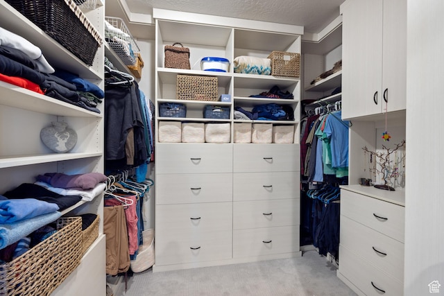 300 E 400 S, Kamas, UT 84036 - walk in closet with light carpet