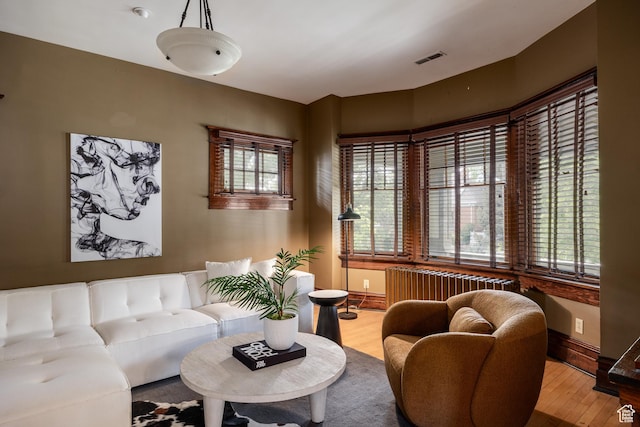 216 B St, Salt Lake City, UT 84103 - living area with wood finished floors, baseboards, and radiator heating unit