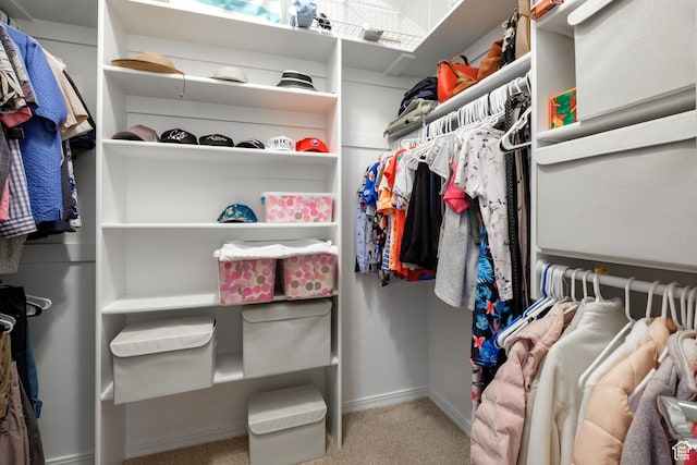 7403 Brook Hollow Loop Rd, Park City, UT 84098 - spacious closet with carpet flooring