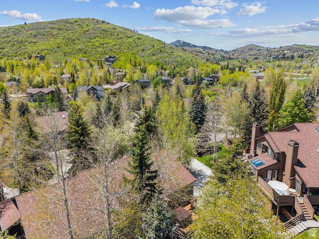 3058 Elk Run Dr W, Park City, UT 84098 - bird's eye view of a mountain backdrop