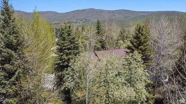 3058 Elk Run Dr W, Park City, UT 84098 - mountain view with a forest