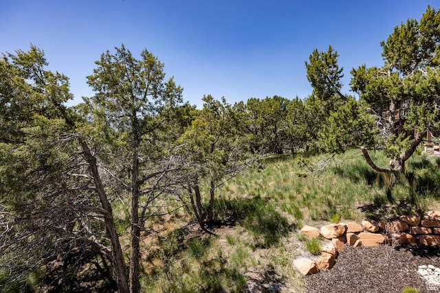 201 N Kings Peak Ct Unit Cp-23, Heber City, UT 84032 - view of local wilderness
