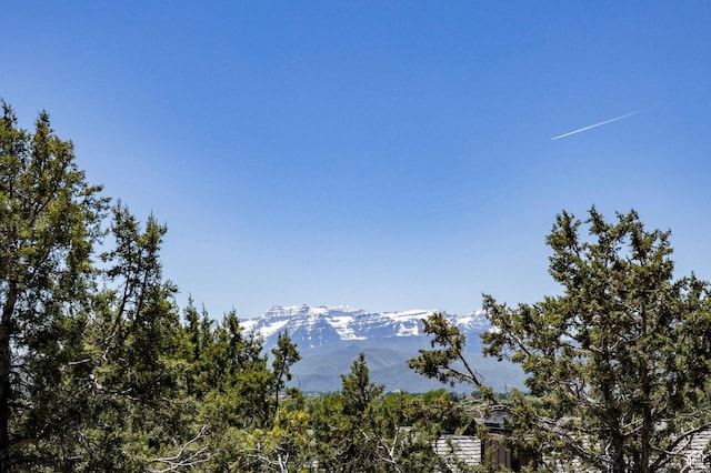 201 N Kings Peak Ct Unit Cp-23, Heber City, UT 84032 - mountain view