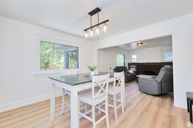 557 E Cleveland Ave, Salt Lake City, UT 84105 - dining space with light wood-style floors, baseboards, and a fireplace