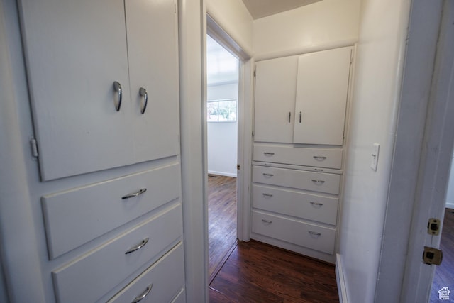 253 S 100 W, American Fork, UT 84003 - view of closet