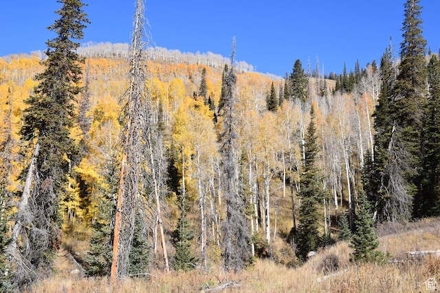 Mount Pleasant, UT 84647