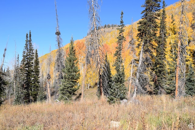 Mount Pleasant, UT 84647