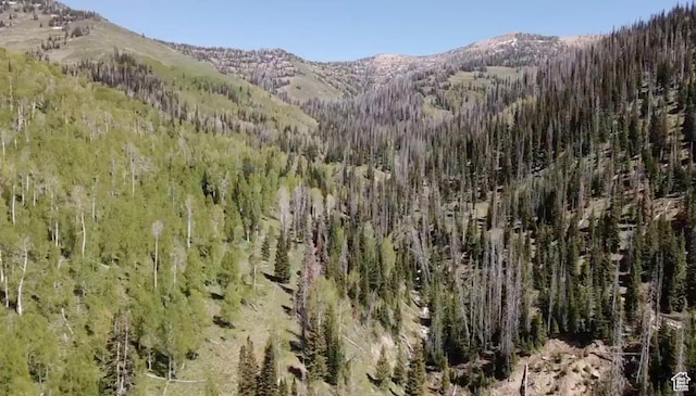 Mount Pleasant, UT 84647