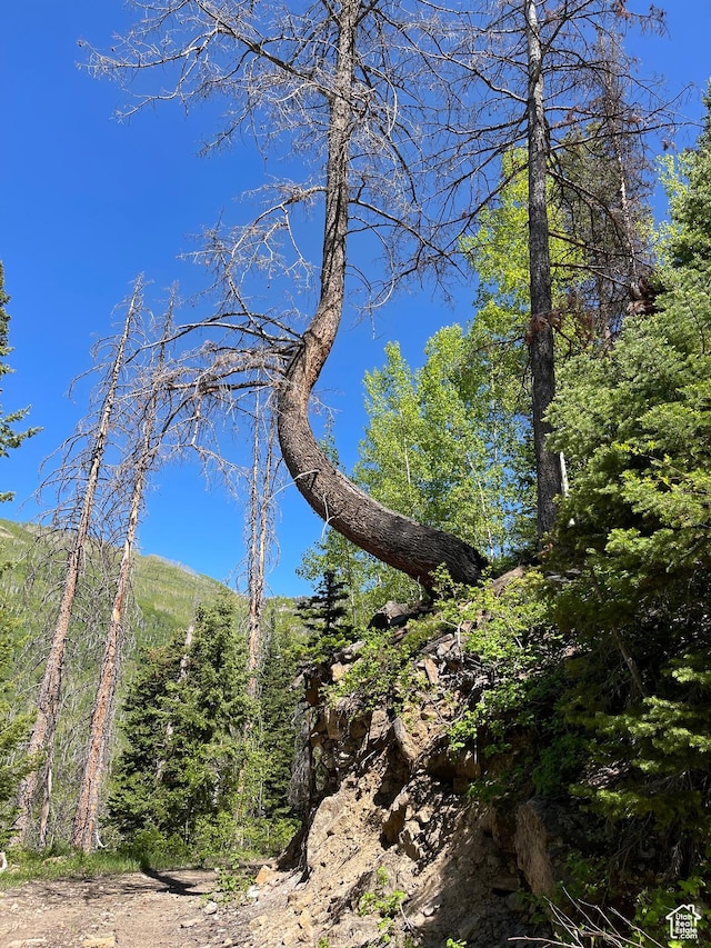 Mount Pleasant, UT 84647