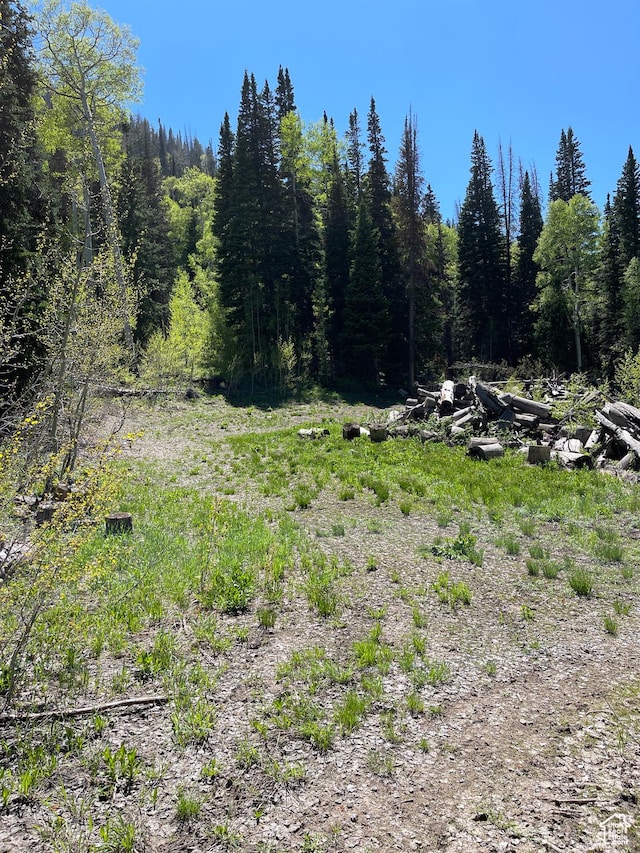 Mount Pleasant, UT 84647