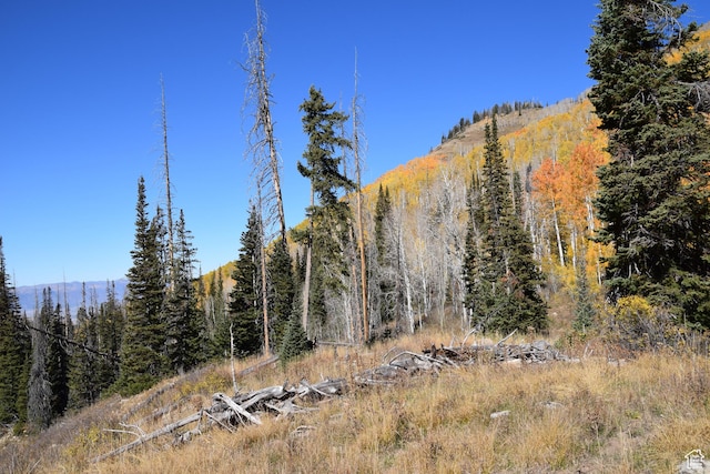 Mount Pleasant, UT 84647