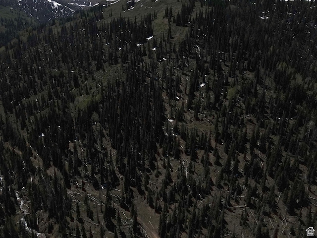 Mount Pleasant, UT 84647