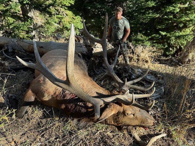 Mount Pleasant, UT 84647
