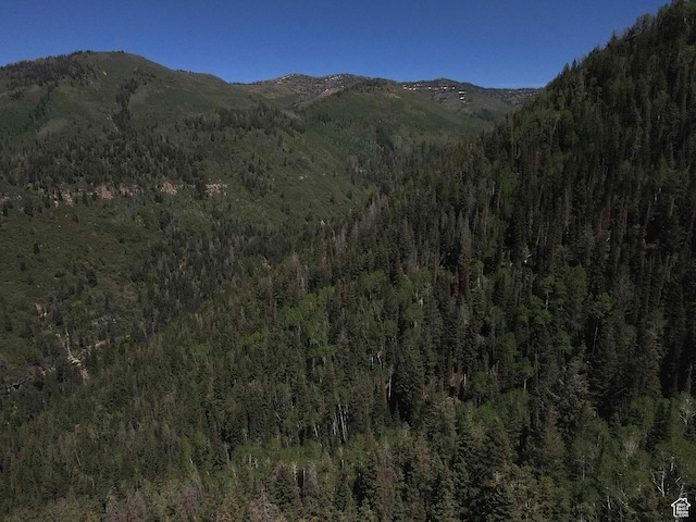 Mount Pleasant, UT 84647