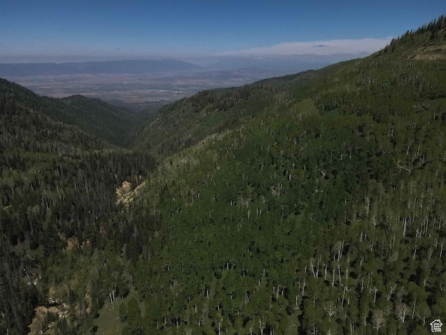 Mount Pleasant, UT 84647