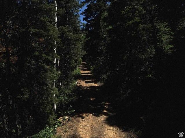 Mount Pleasant, UT 84647
