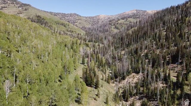 Mount Pleasant, UT 84647