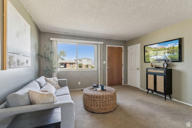 295 S 2nd St, Tooele, UT 84074 - living room featuring a textured ceiling, carpet, and baseboards