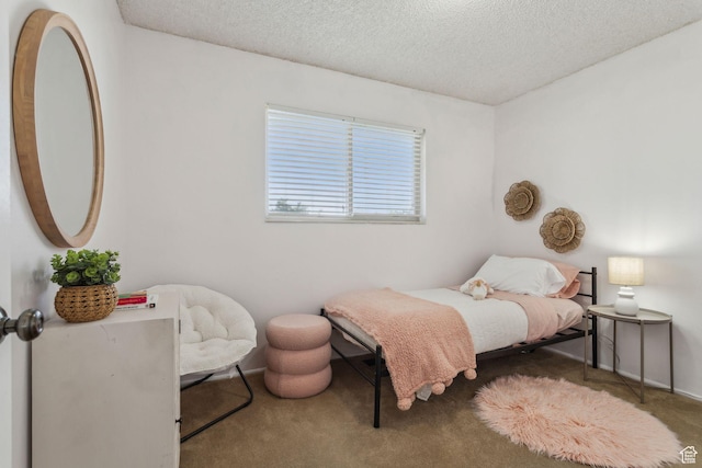 295 S 2nd St, Tooele, UT 84074 - bedroom with carpet flooring and a textured ceiling