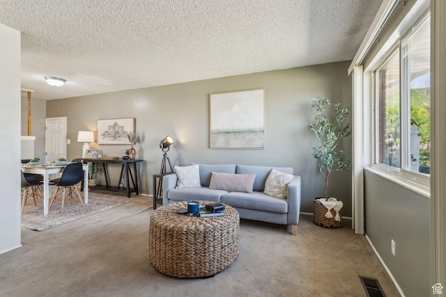 295 S 2nd St, Tooele, UT 84074 - carpeted living room with a textured ceiling and baseboards