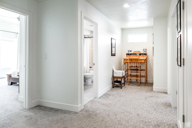 260 W 500 N Unit 4, Salt Lake City, UT 84103 - corridor with carpet flooring, baseboards, and a textured ceiling