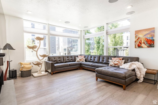 260 W 500 N Unit 4, Salt Lake City, UT 84103 - living room featuring wood finished floors and a textured ceiling