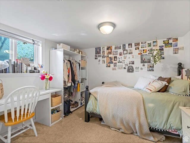 628 E 420 N, Provo, UT 84606 - bedroom with light carpet, a closet, and an office area