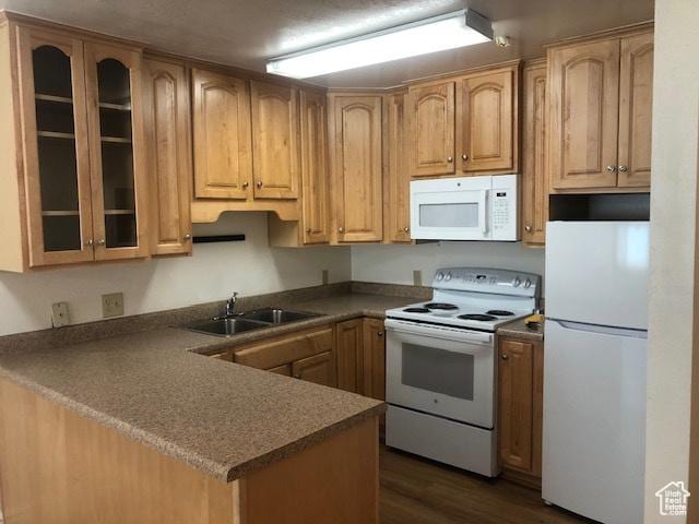 361 N 300 W Unit 107, Provo, UT 84601 - kitchen with white appliances, a sink, a peninsula, glass insert cabinets, and dark wood finished floors
