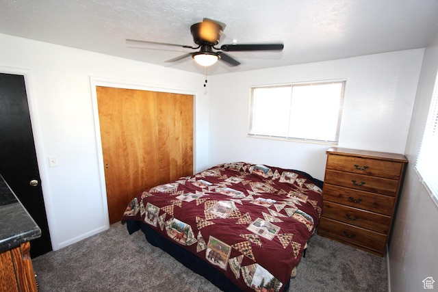 324 W 600 N, Logan, UT 84321 - bedroom featuring carpet flooring, multiple windows, a closet, and ceiling fan
