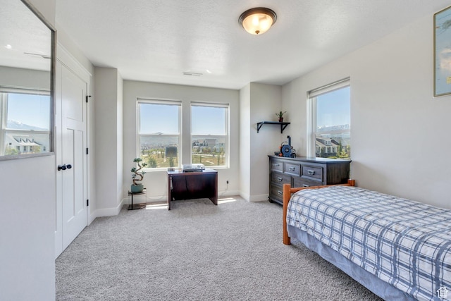 6228 W Copperhawk Dr S, South Jordan, UT 84009 - bedroom featuring carpet, multiple windows, and baseboards
