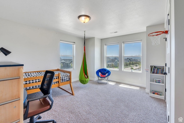 6228 W Copperhawk Dr S, South Jordan, UT 84009 - carpeted office space with a textured ceiling and baseboards
