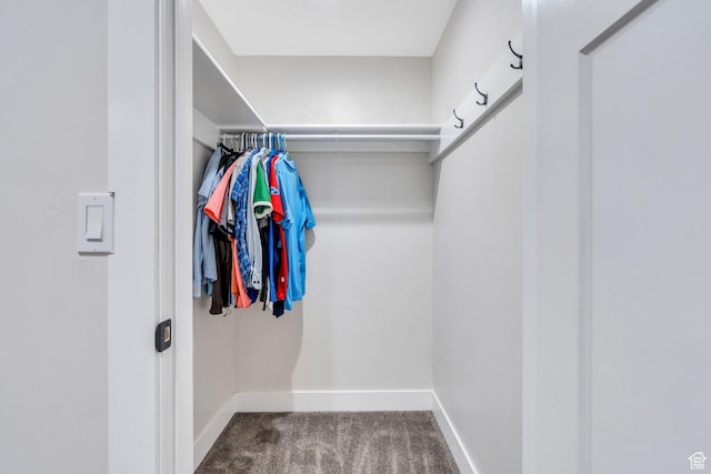 6228 W Copperhawk Dr S, South Jordan, UT 84009 - spacious closet featuring carpet