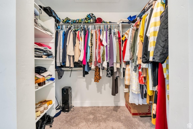 6228 W Copperhawk Dr S, South Jordan, UT 84009 - walk in closet with carpet flooring
