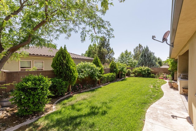 822 E Birken St, Washington, UT 84780 - view of yard