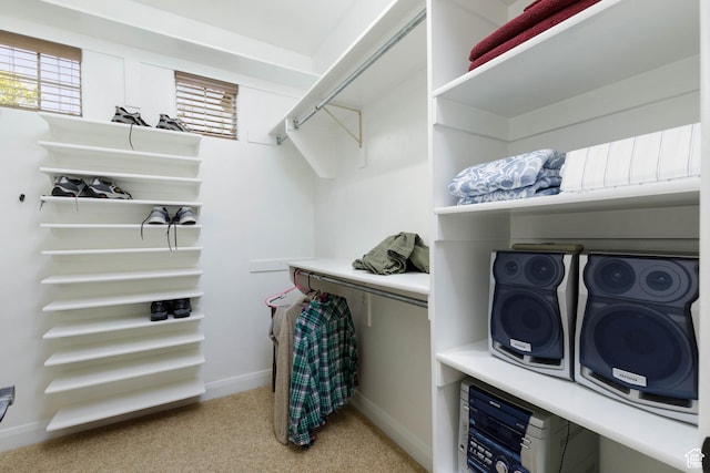 822 E Birken St, Washington, UT 84780 - walk in closet with light carpet
