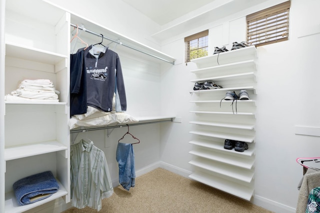 822 E Birken St, Washington, UT 84780 - spacious closet featuring carpet