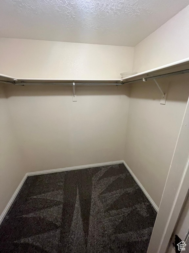 3478 E Rdg Route Rd Unit C1, Eagle Mountain, UT 84005 - walk in closet with carpet