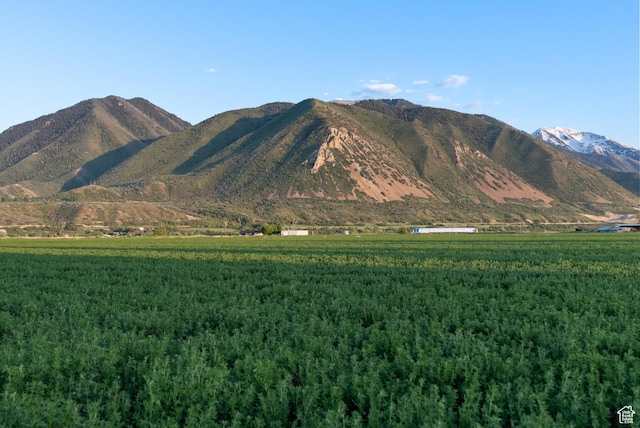 2047 E 1850 S, Spanish Fork, UT 84660 - mountain view featuring a forest