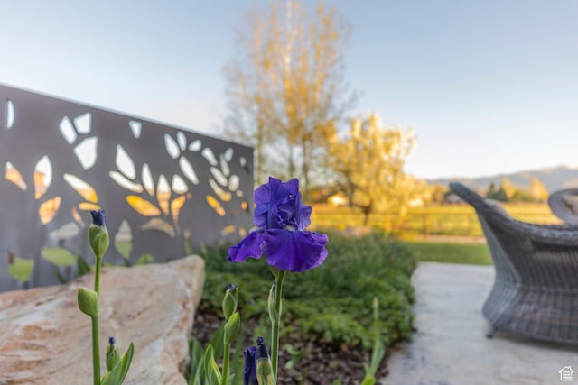 7778 N Greenfield Dr, Park City, UT 84098 - exterior view