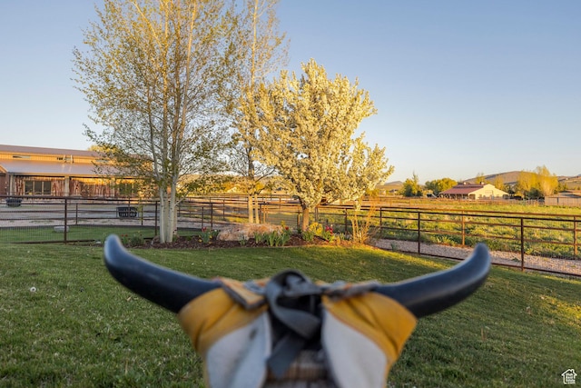 7778 N Greenfield Dr, Park City, UT 84098 - view of yard