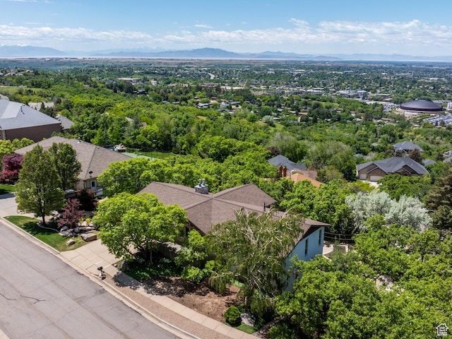 4253 S Spring Rd E, Ogden, UT 84403 - aerial view of residential area with mountains