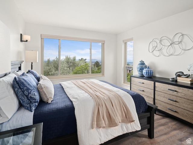 4253 S Spring Rd E, Ogden, UT 84403 - bedroom featuring dark wood-style flooring
