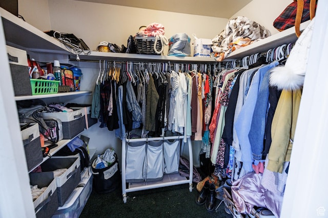 1070 E 120 S, Orem, UT 84097 - walk in closet with carpet flooring