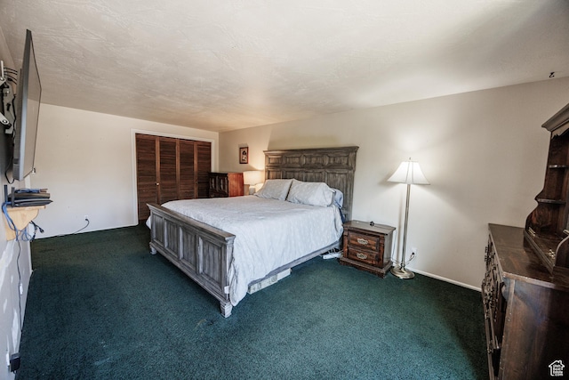 1070 E 120 S, Orem, UT 84097 - bedroom with dark carpet and a closet