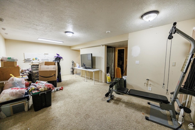 1070 E 120 S, Orem, UT 84097 - workout room featuring a textured ceiling and carpet flooring