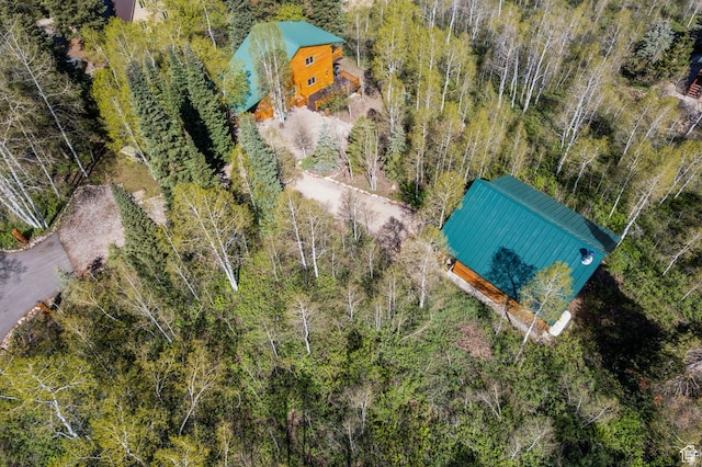 5399 E Targhee Dr E, Oakley, UT 84055 - view from above of property