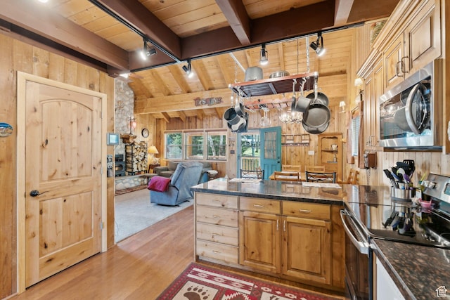 5399 E Targhee Dr E, Oakley, UT 84055 - kitchen with stainless steel appliances, wooden walls, rail lighting, wood ceiling with exposed beams, and a peninsula