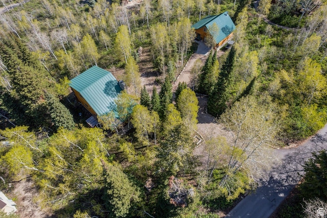 5399 E Targhee Dr E, Oakley, UT 84055 - view of subject property