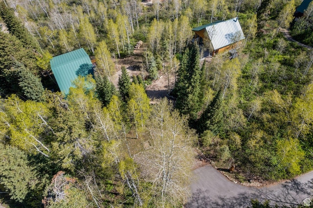 5399 E Targhee Dr E, Oakley, UT 84055 - view from above of property
